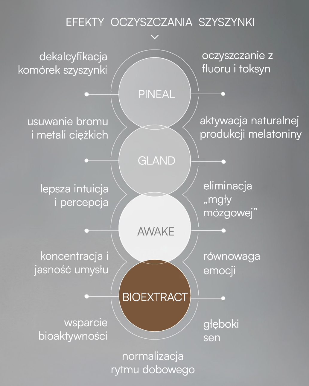 Pineal Gland Awake - obrazek 3