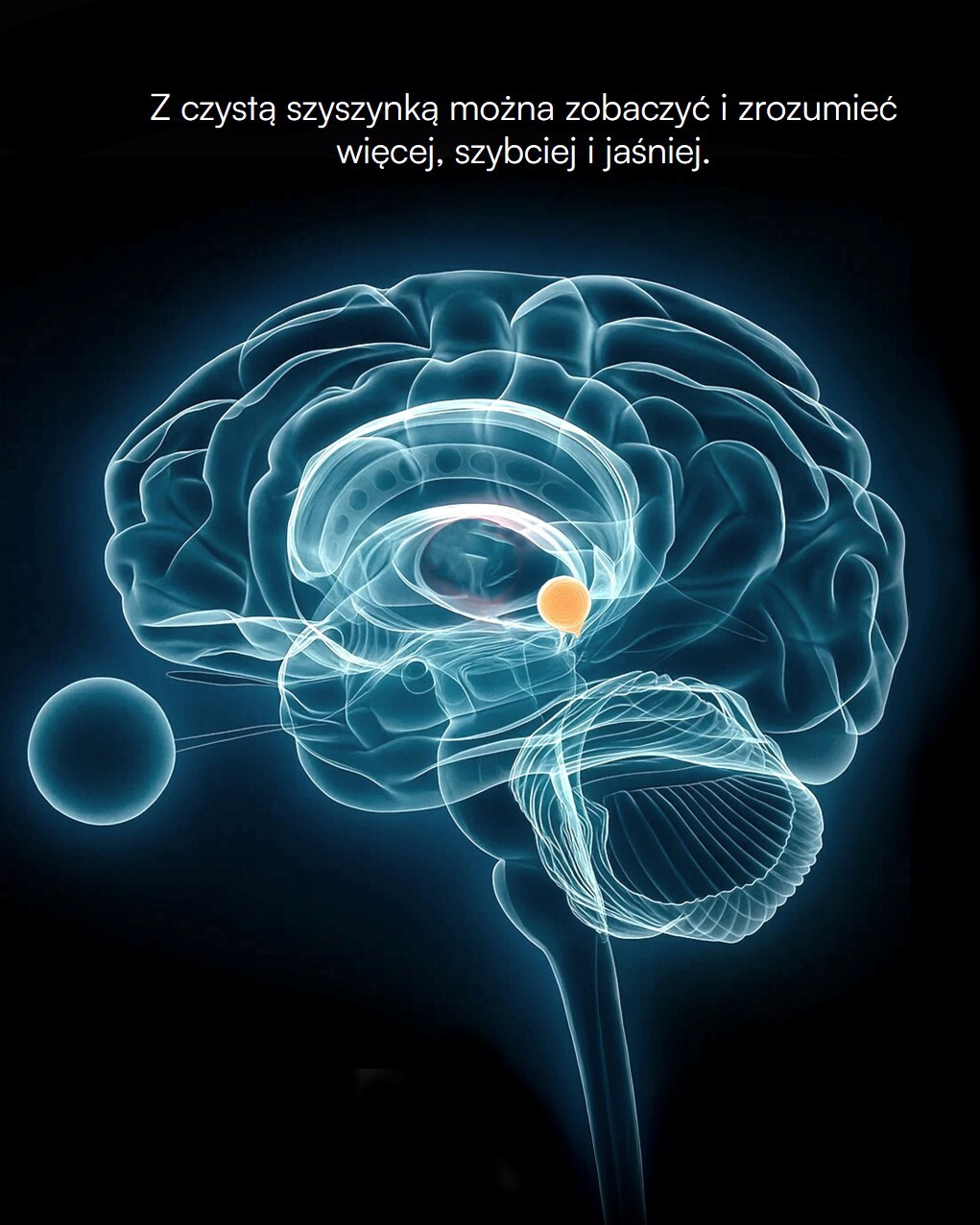 Pineal Gland Awake - obrazek 4