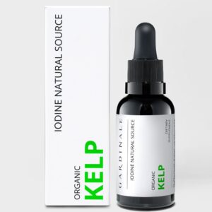 Kelp