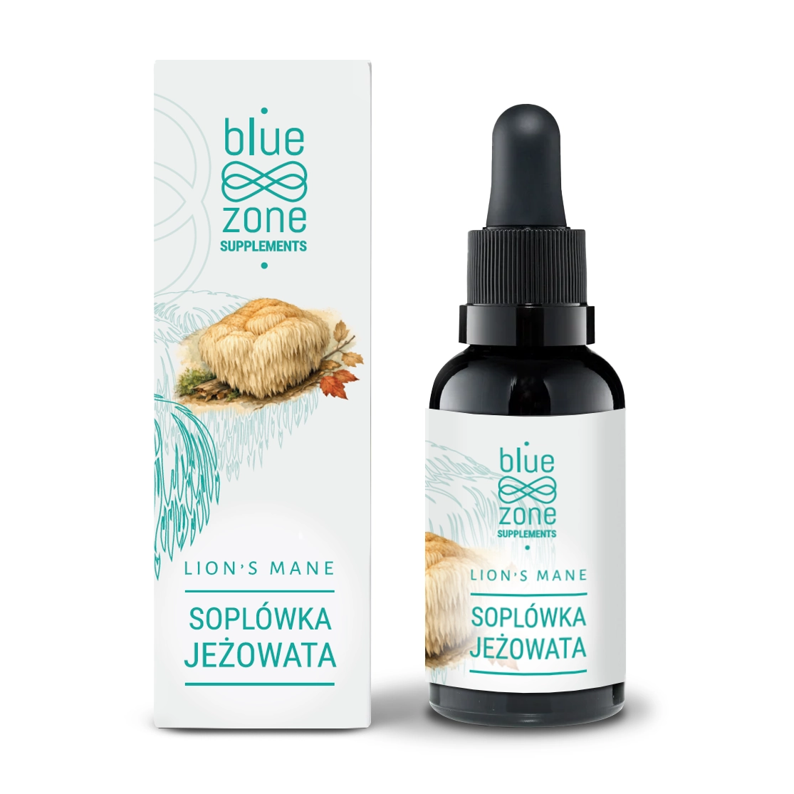 Soplówka Jeżowata Blue Zone